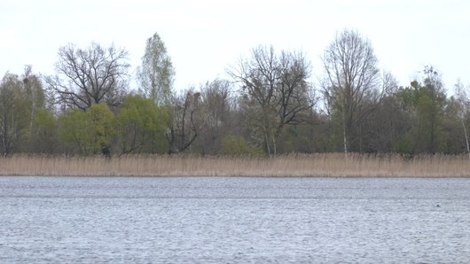 "Рибу ловимо, корівку тримаємо": життя у селі, що потрапило в зону радіаційного забруднення після аварії на ЧАЕС