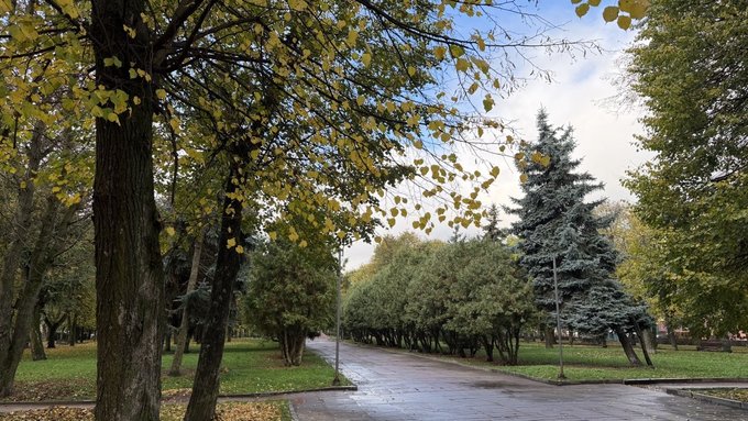 На Житомирщині кінець жовтня буде теплим і переважно без опадів: прогноз погоди