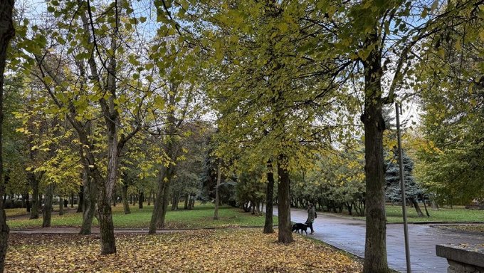 Дощі та тепло, вище за норму: якою буде погода на Житомирщині у вихідні та на початку тижня