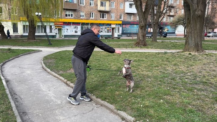 Усе почалося з любові до власного пса: ветеран із Волині виготовляє корми для собак і котів Усе почалося з любові до власного пса: ветеран із Волині виготовляє корми для собак і котів