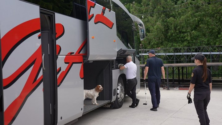 На Вінниччині службові собаки допомогли митникам виявити майже 40 порушень з початку року