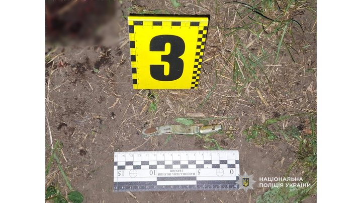 На Ніжинщині поліцейські затримали чоловіка, який підірвав гранату біля будинку: є травмовані На Ніжинщині поліцейські затримали чоловіка, який підірвав гранату біля будинку: є травмовані