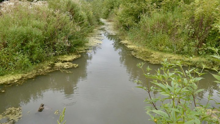 річка, русло річки річка, русло річки