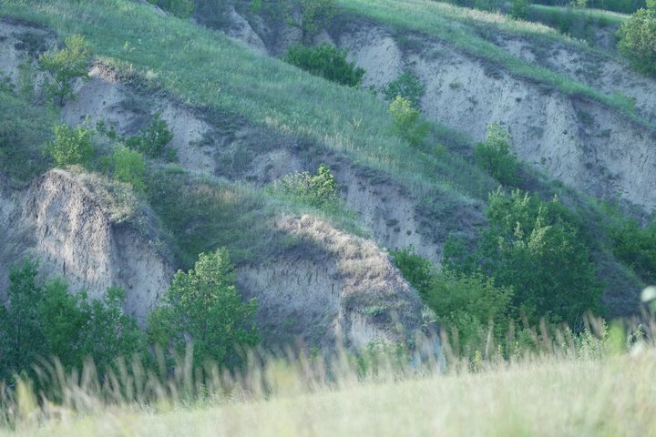 «Порівнюють з Новою Зеландією». Що відомо про балку Сажівку поблизу Дніпра
