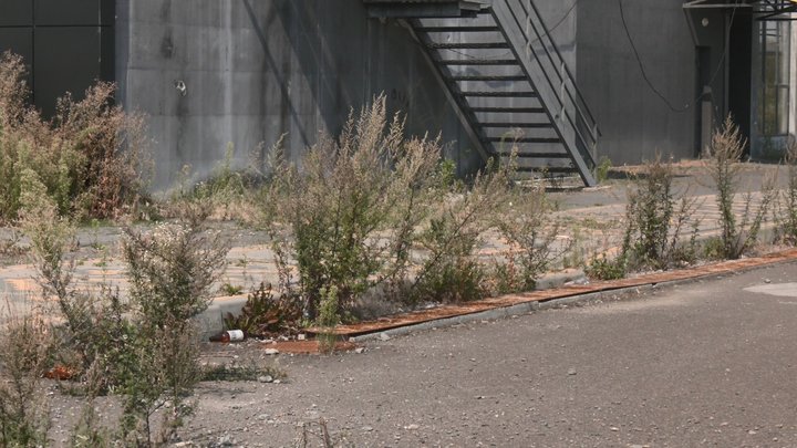 «Водна арена Тернопіль», руйнується і заростає бур'янами, Тернопіль, спорткомплекс, 21 серпня 2026 року
