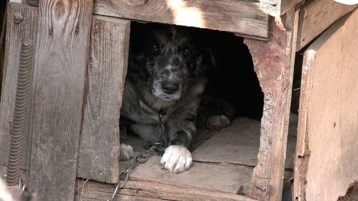 «У руці залишилось пів чашки — такий вибух»: що кажуть очевидці про атаку РФ на Новгород-Сіверський, де поранено 4 людей