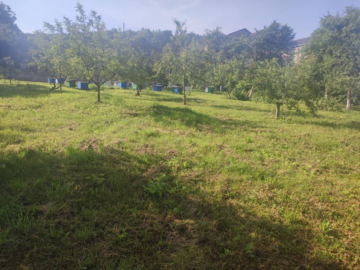 Погоня, вулики, Франківщина Погоня, вулики, Франківщина