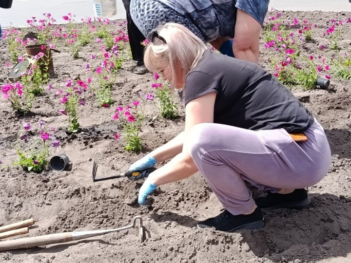 У Лебедині організували акцію "Посади квіти" У Лебедині організували акцію "Посади квіти"