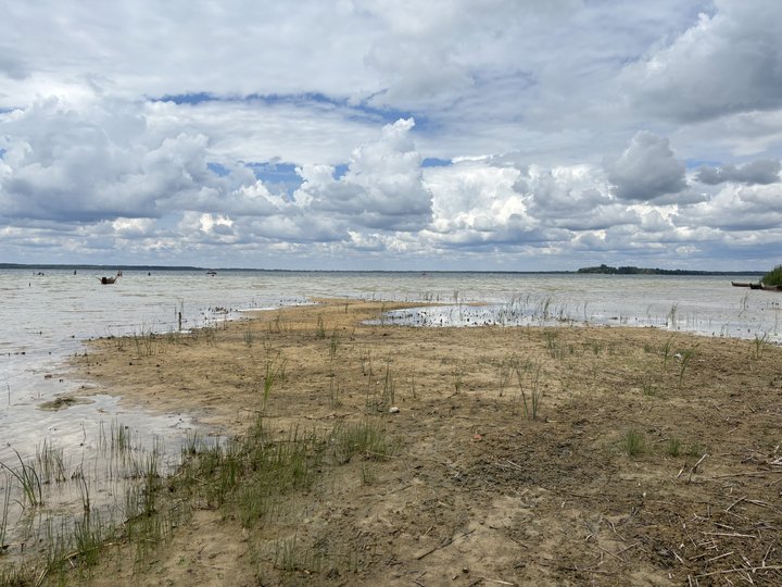 Два тижні дощів на Світязь не підвищили рівня води в озері Два тижні дощів на Світязь не підвищили рівня води в озері