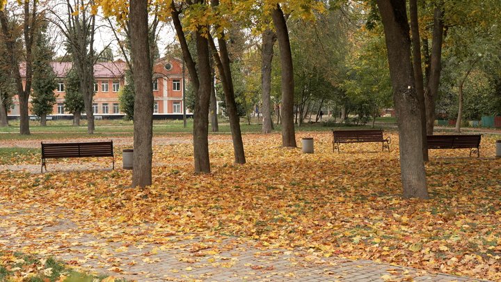 Трамп і сквер у Чернігові: що змінилось за рік для міста та мікрорайону Шерстянка