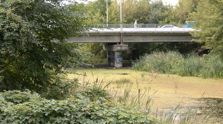 На Волині через посуху обміліли водойми та пересихають криниці: що кажуть фахівці