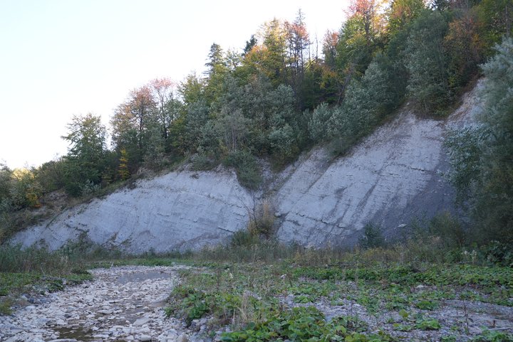 Селище Бойки