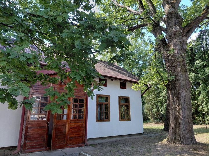 Пам’ятник із могили Євгена Коновальця привезли до його рідного села на Львівщині із Нідерландів