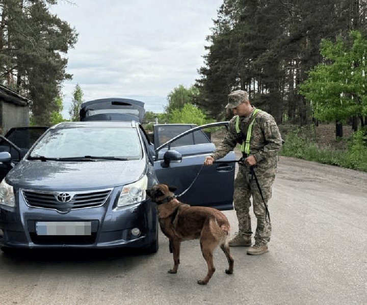 Зв’язок, побудований на довірі: як волинський кінолог разом із псом Ігнесом охороняють кордон