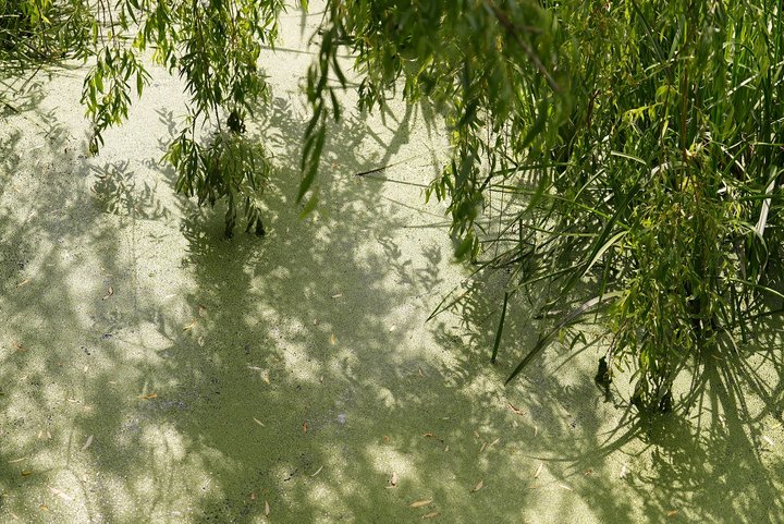 Річка Тлумачик