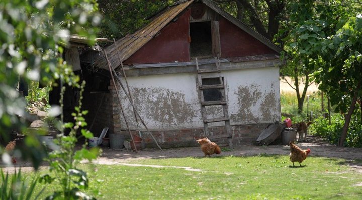 Історія подружжя Мійняйло з Дніпропетровщини, які проживають у майже спорожнілому селі