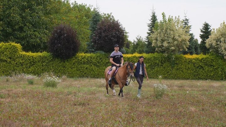 На Вінниччині ветеранів безкоштовно катають на конях у межах волонтерської ініціативи