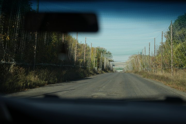 Місто велосипедістів без мобільного зв'язку. Як люди живуть у Білопіллі на Сумщині Місто велосипедістів без мобільного зв'язку. Як люди живуть у Білопіллі на Сумщині