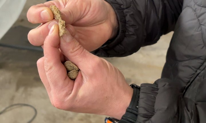 Усе почалося з любові до власного пса: ветеран із Волині виготовляє корми для собак і котів Усе почалося з любові до власного пса: ветеран із Волині виготовляє корми для собак і котів