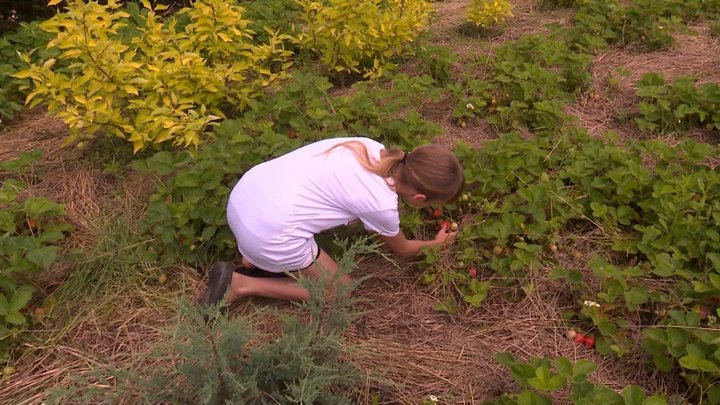 Як переселенка із прифронтового Запоріжжя переїхала в село на Вінниччину та навчає садівництву інших: історія