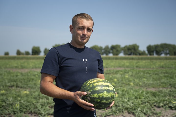 «Вага найбільшого кавуна- 16,5 кілограма»: як у Беседівці вирощують баштанні попри виклики війни «Вага найбільшого кавуна- 16,5 кілограма»: як у Беседівці вирощують баштанні попри виклики війни