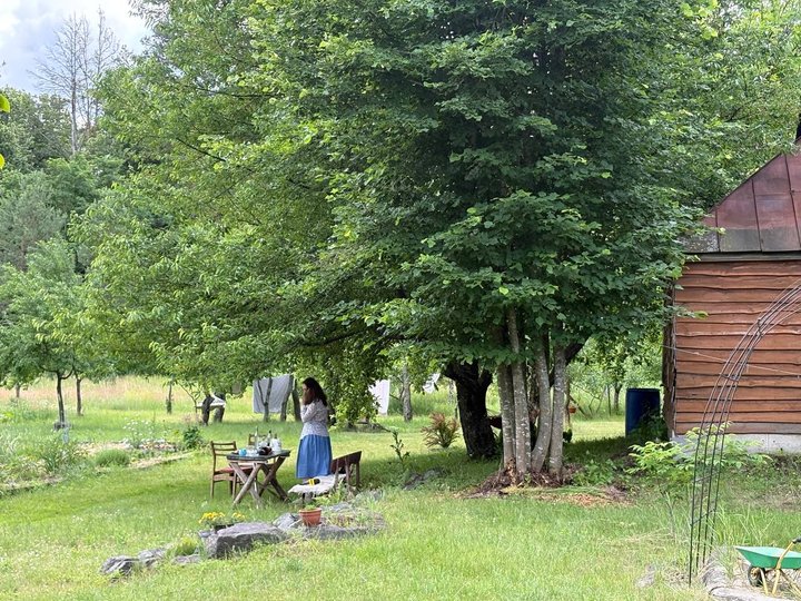 Аби годувати дітей натуральним: на Черкащині родина живе на хуторі серед лісу і веде господарство без хімічних добрив
