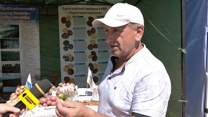 «Пріска», «Белана», «Філіпа»: які елітні сорти картоплі презентували під час «Дня поля» на Волині «Пріска», «Белана», «Філіпа»: які елітні сорти картоплі презентували під час «Дня поля» на Волині