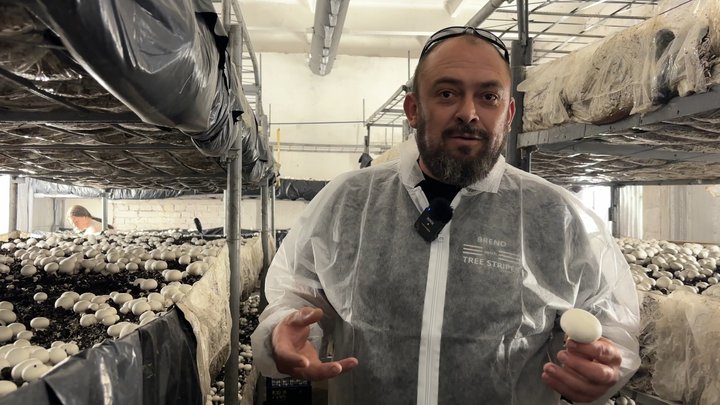 «Нічого не буває легко»: ветеран з Волині після років служби відкрив грибну ферму «Нічого не буває легко»: ветеран з Волині після років служби відкрив грибну ферму