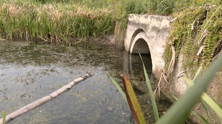На Волині через посуху обміліли водойми та пересихають криниці: що кажуть фахівці