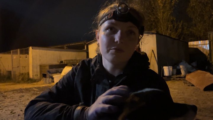 Прибирають на місці влучання та прилаштовують тварин: як ліквідовують наслідки атаки на ВСЦ «Крок до тварин» Прибирають на місці влучання та прилаштовують тварин: як ліквідовують наслідки атаки на ВСЦ «Крок до тварин»