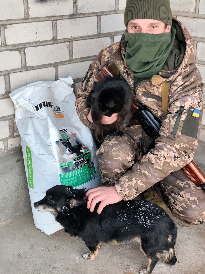 «Спокутую вину»: як 67-річний волонтер з Волині рятує собак і котів з-під обстрілів