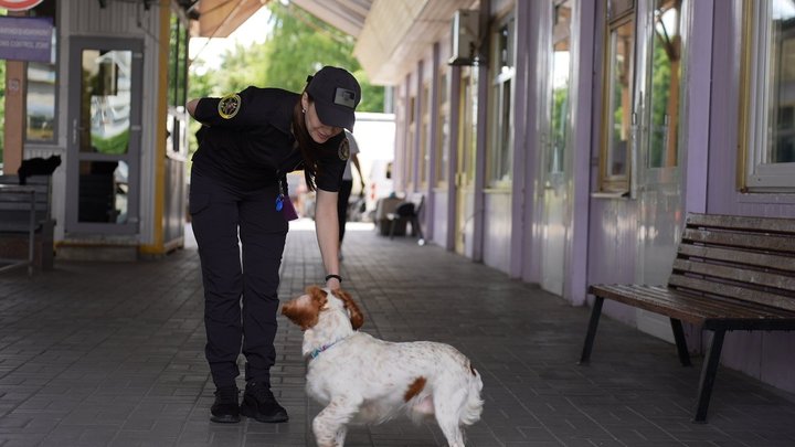 На Вінниччині службові собаки допомогли митникам виявити майже 40 порушень з початку року