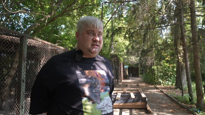 У сумському «DIMPETS» побільшало тварин, яких залишають через виїзд: притулок почав приймати собак