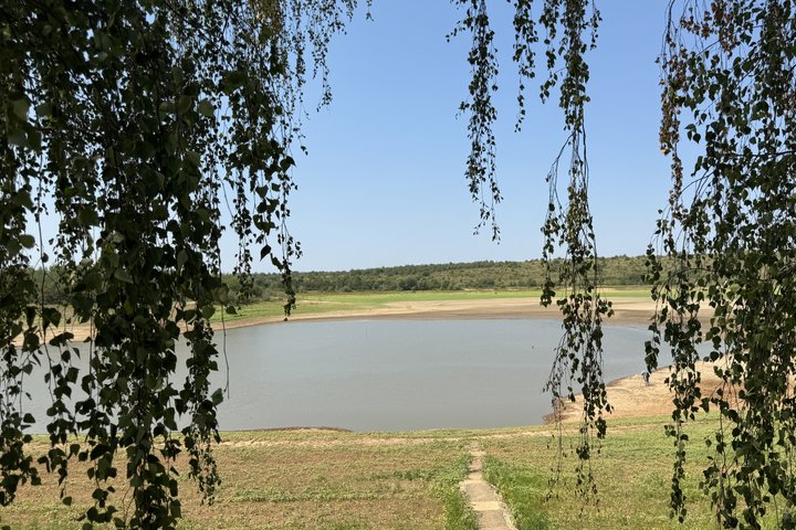У селі Бобовище в Мукачівському районі обміліло водосховище: рибоохоронний патруль зафіксував масовий мор риби У селі Бобовище в Мукачівському районі обміліло водосховище: рибоохоронний патруль зафіксував масовий мор риби