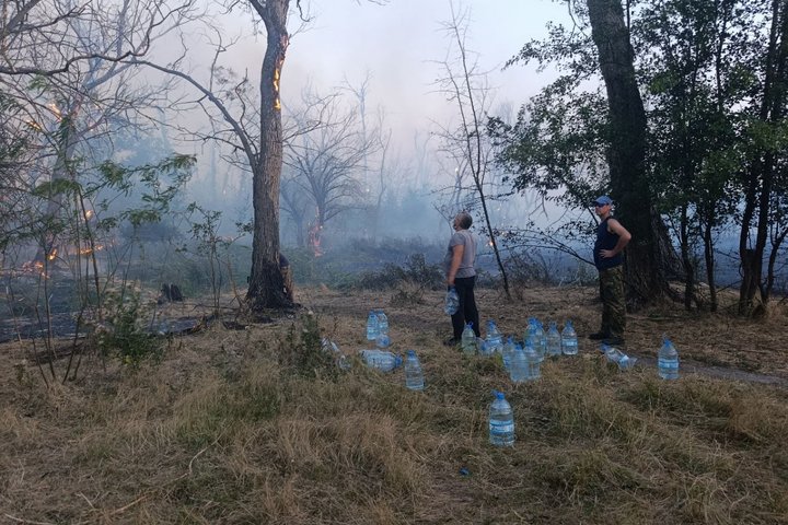 розумівка пожежі