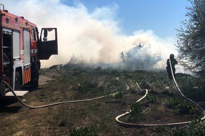 Горіли очерет і суха трава: на Волині за добу ліквідували 10 пожеж Горіли очерет і суха трава: на Волині за добу ліквідували 10 пожеж