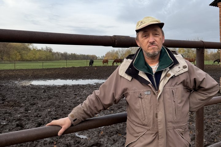 На Роменщині чоловік береже тракененську породу коней, якій майже 300 років На Роменщині чоловік береже тракененську породу коней, якій майже 300 років