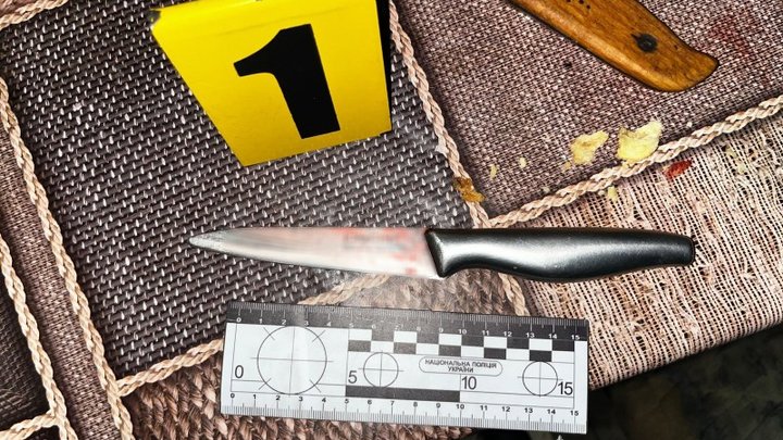 Побутова суперечка на Львівщині закінчилась ножовим ранінням: батько поранив власного сина