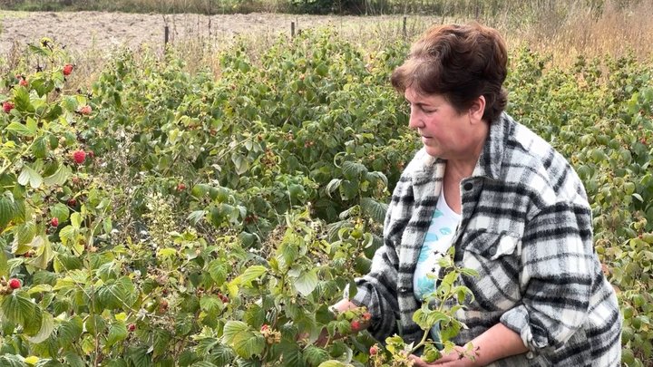 «Земля наша, а країна не наша»: родина переселенців з Запорізької області розпочала нове життя на Волині