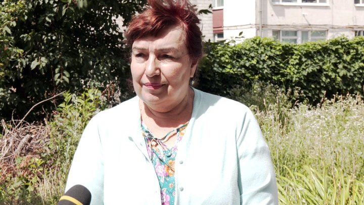 колорадські жуки: є чи нема