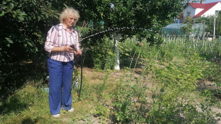 Дачниця Катерина Чекан Дачниця Катерина Чекан