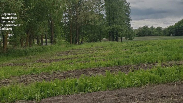 У селі на Волині невідомі розорали прибережну захисну смугу