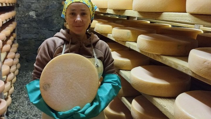 "Сироваріння — це не сухий технічний процес, це творчість": як волинська вчителька стала варити сир "Сироваріння — це не сухий технічний процес, це творчість": як волинська вчителька стала варити сир