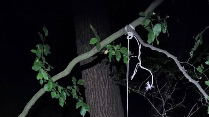 Жорстокість без меж: на Львівщині чоловік стратив сусідського пса, прив’язавши його мотузкою до дерева