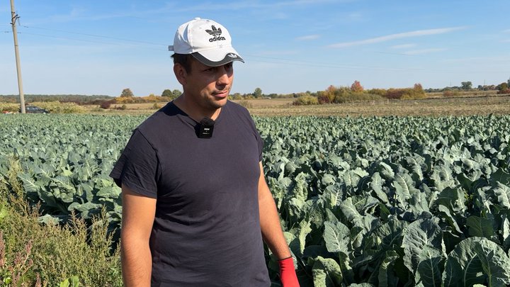 «Заробіток дуже важко передбачити»: фермер з Волині розповів про вирощування броколі та цвітної капусти «Заробіток дуже важко передбачити»: фермер з Волині розповів про вирощування броколі та цвітної капусти