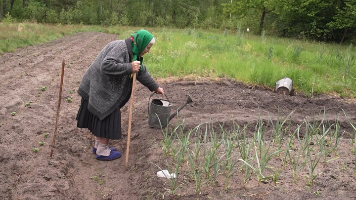 Садить город та носить воду з криниці: у 91 рік волинянка сама живе та господарює на хуторі