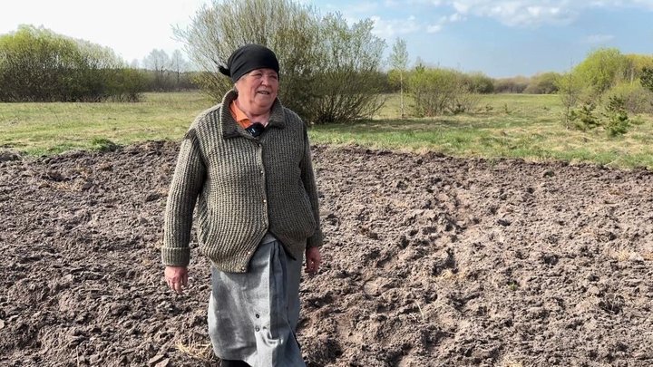 Картопля під коника Картопля під коника