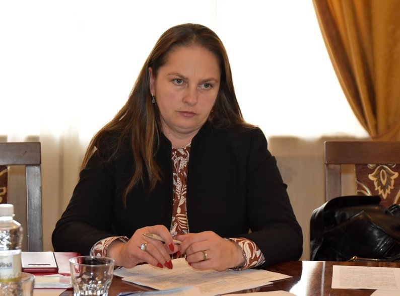 Як часто і до яких країн їздять у відрядження за кордон депутати Закарпатської обласної ради