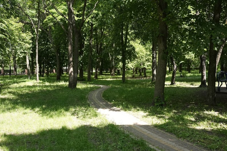 Європейський день парків. Які є в Кропивницькому і як там можна відпочити