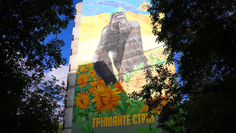 Три роки від загибелі Максима Несеверенка на псевдо "Конг": як у Вінниці зберігають пам'ять про оборонця